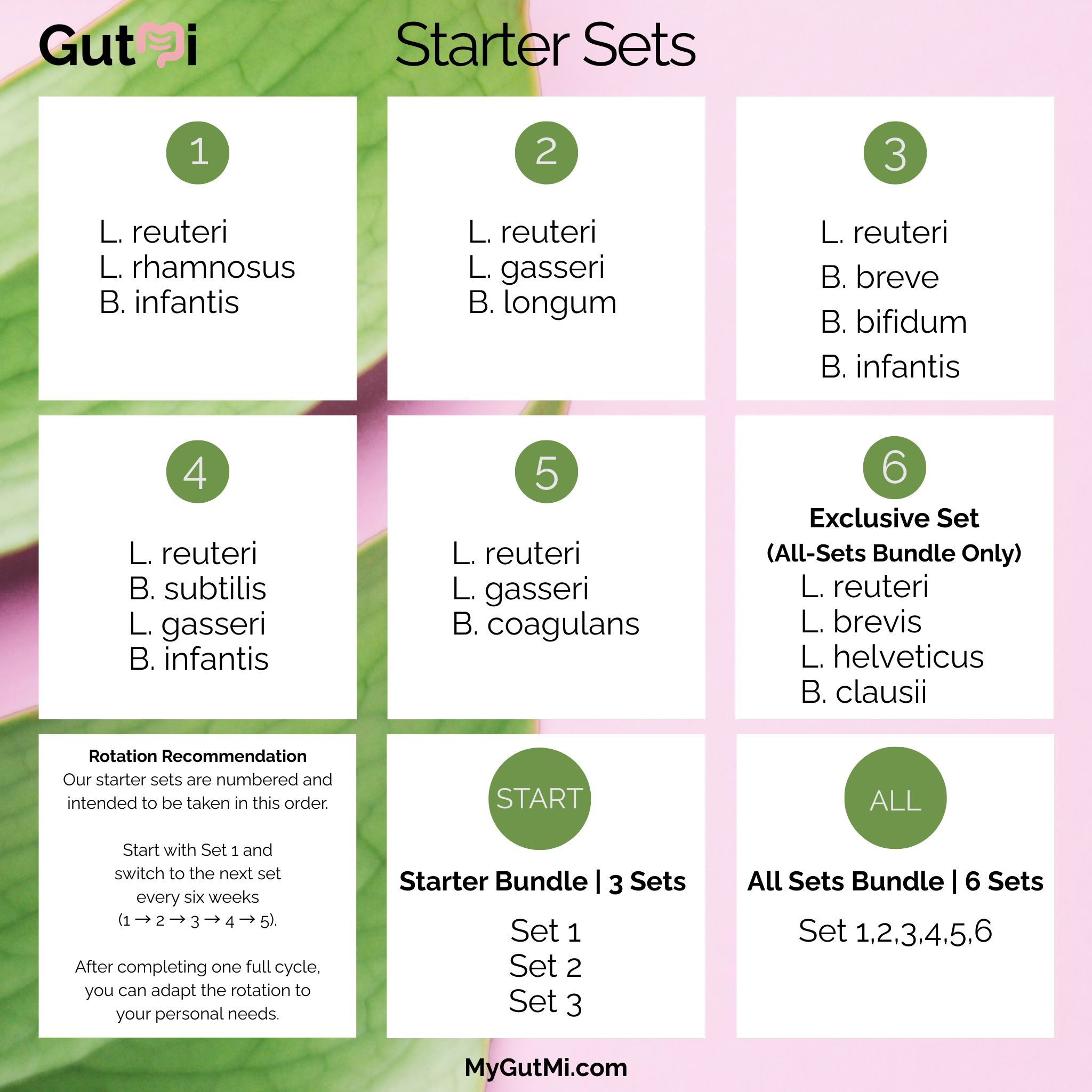 L. reuteri + B. breve + B. bifidum + B. infantis | Yogurt Starter Set | Calm Gut | Starter Cultures | Pack of 3