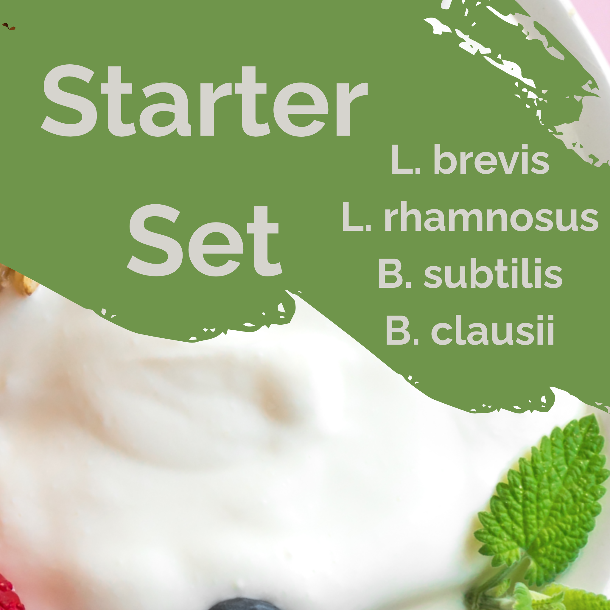 L. brevis + L. rhamnosus + B. subtilis + B. clausii | Juego de Inicio para Yogur | Protección Intestinal | Cultivos Iniciales | Paquete de 3