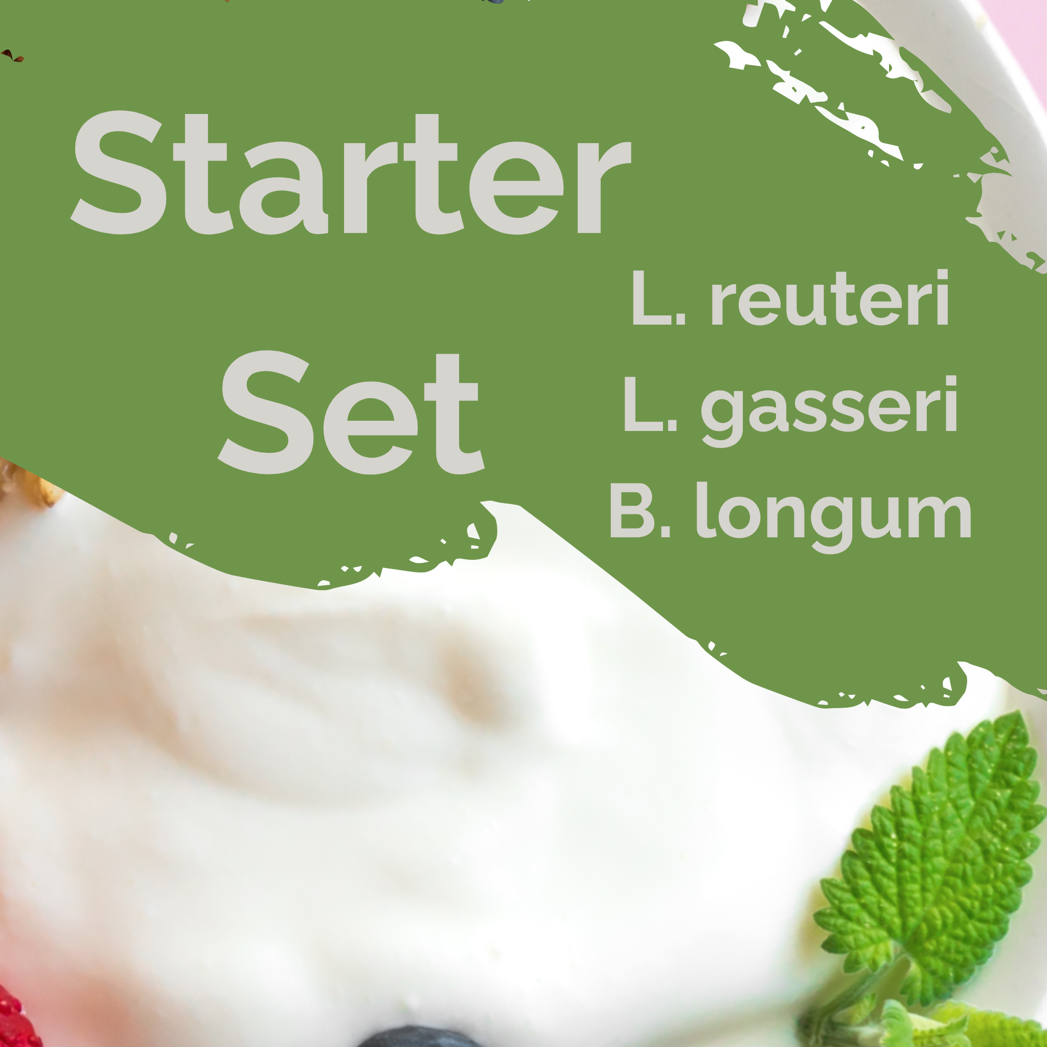 L. reuteri + L. gasseri + B. longum | Set de Inicio para Yogur | Intestino Ligero | Cultivos Iniciadores | Paquete de 3